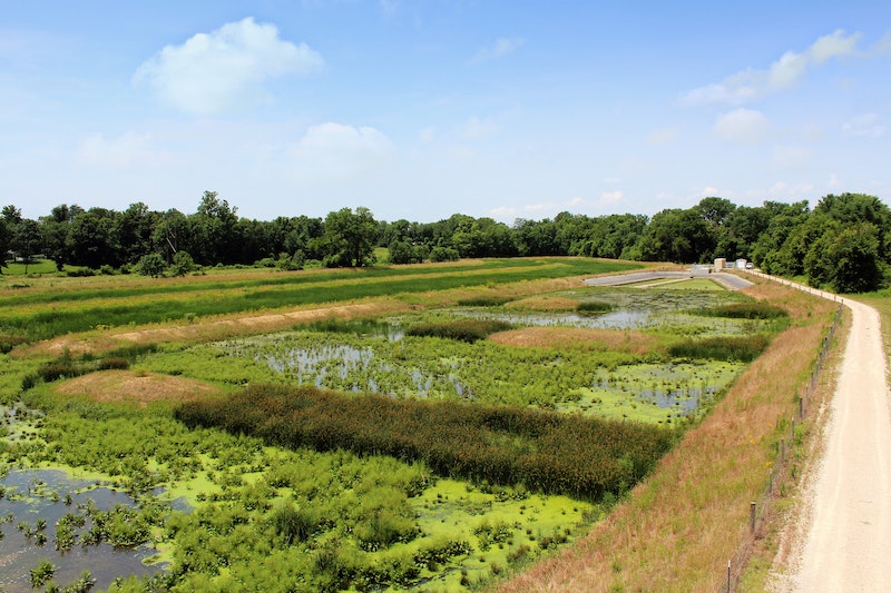 In some cases, constructed wetlands using green infrastructure are effective resources for storm water runoff. These can benefit the local community with a visually appealing treatment and runoff control system that also mitigates residential flooding.