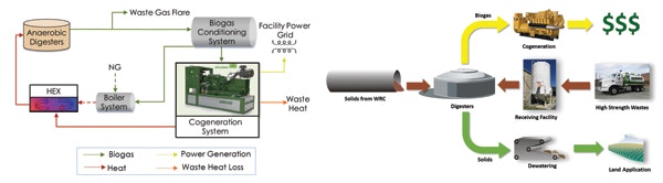 Co-digestion is critical to combined heat and power success, especially for facilities that are too small to generate enough wastes for biogas capture through normal wastewater processing. Above to the left is an example of process flow, and above to the right is an example of cogeneration with co-digestion flow.